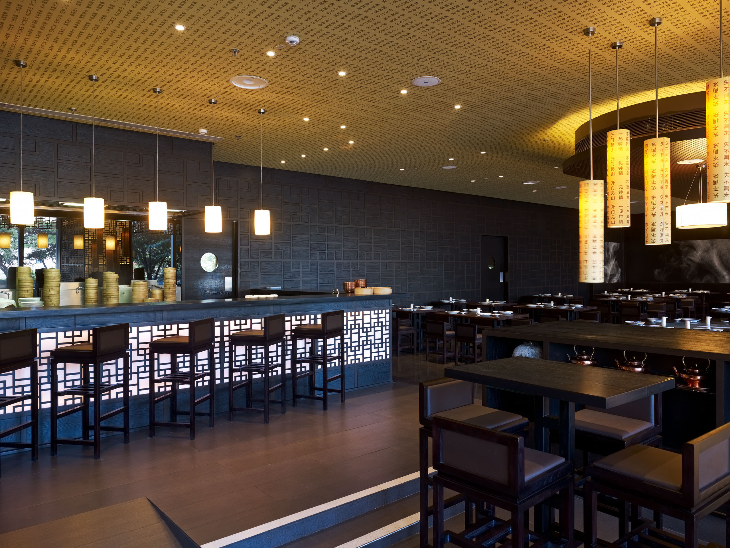 E13460 Alpa 041045 j2560